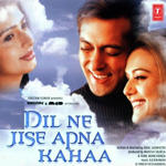 Dil Ne Jise Apna Kahaa (2004) Mp3 Songs